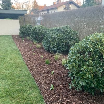 Dein Gärtner in München Ab durch die Hecke